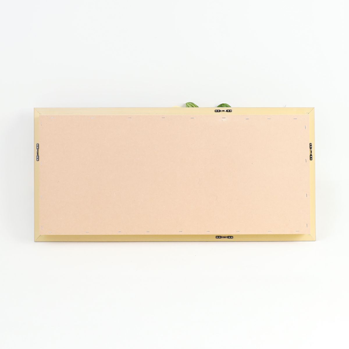 胡蝶蘭 はくらん フレーム [23]