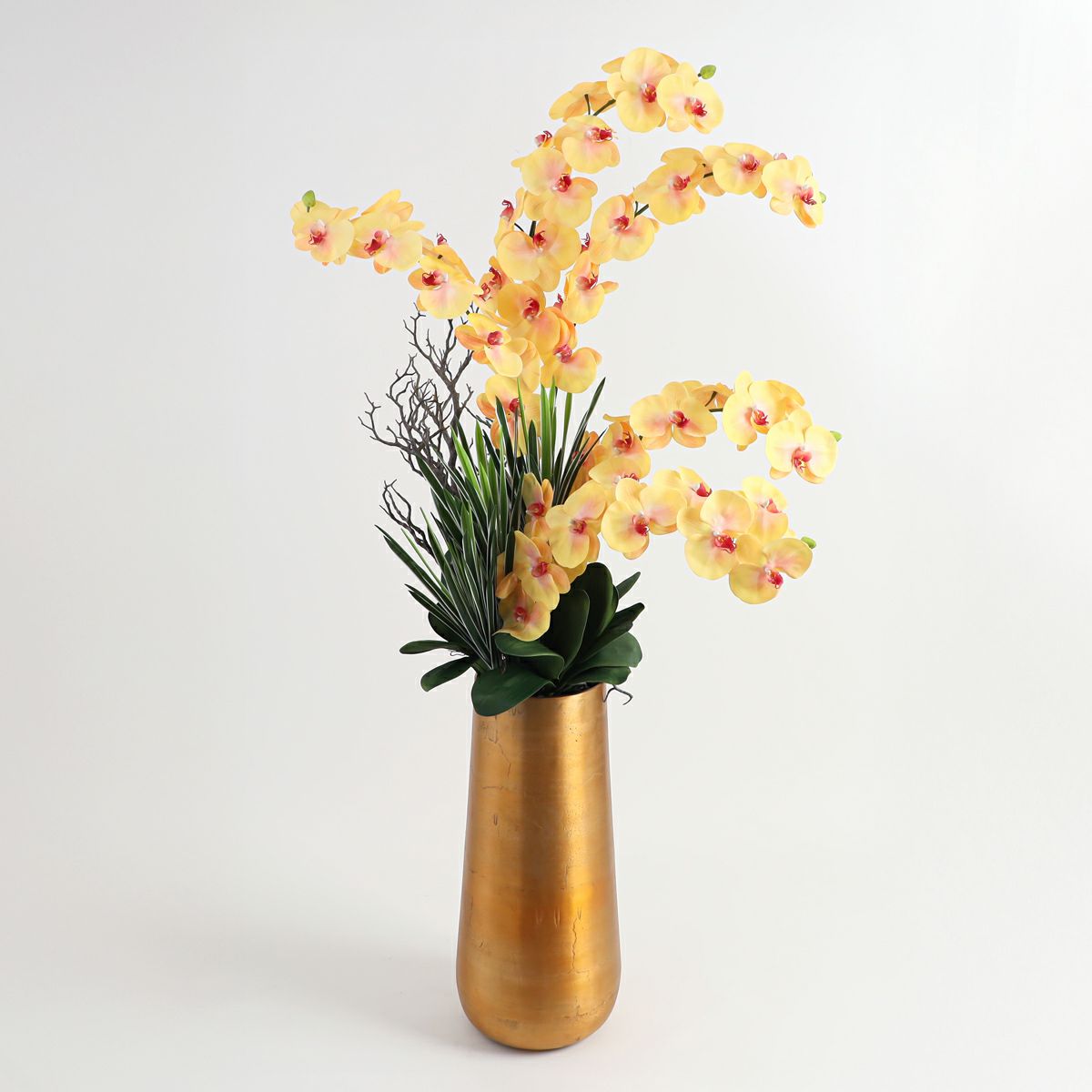 胡蝶蘭 はくらん[P-02]