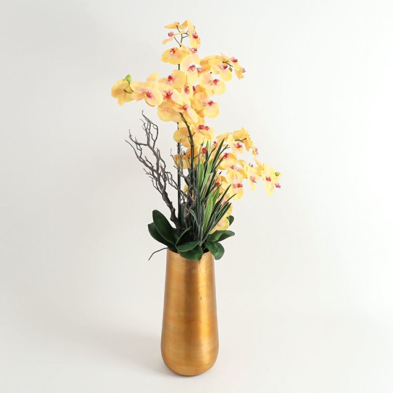 胡蝶蘭 はくらん[P-02]