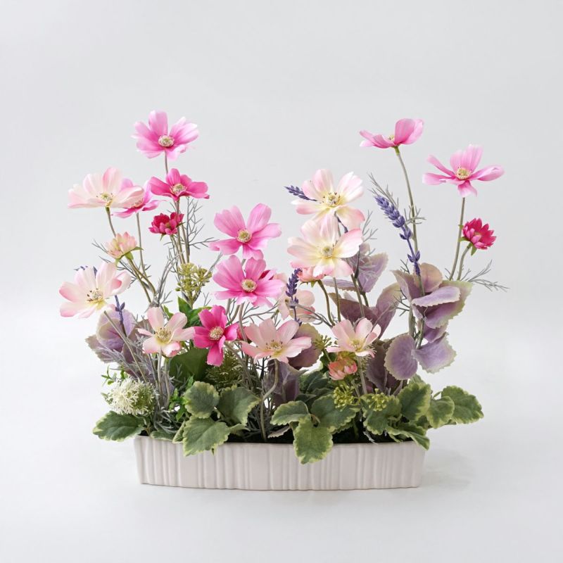 コスモス アレンジメント [WEB466A]