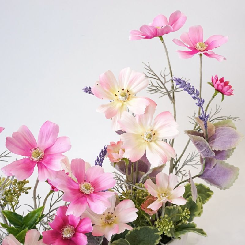 コスモス アレンジメント [WEB466A]