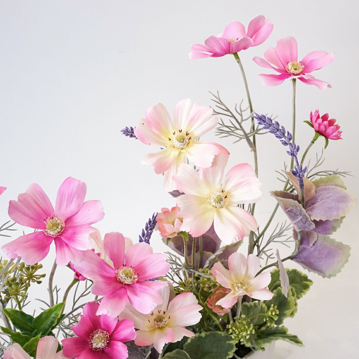 コスモス アレンジメント [WEB466A]