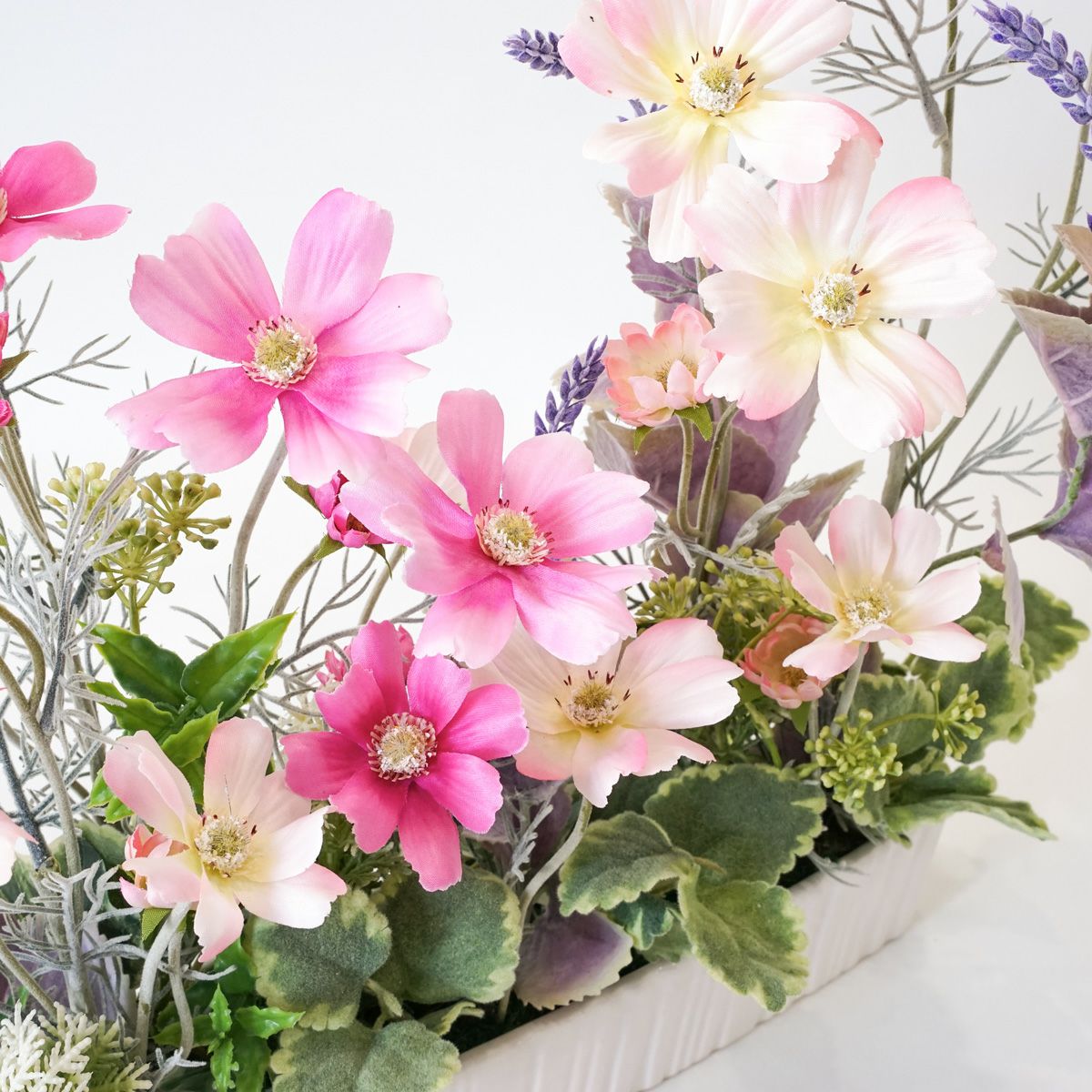 コスモス アレンジメント [WEB466A]