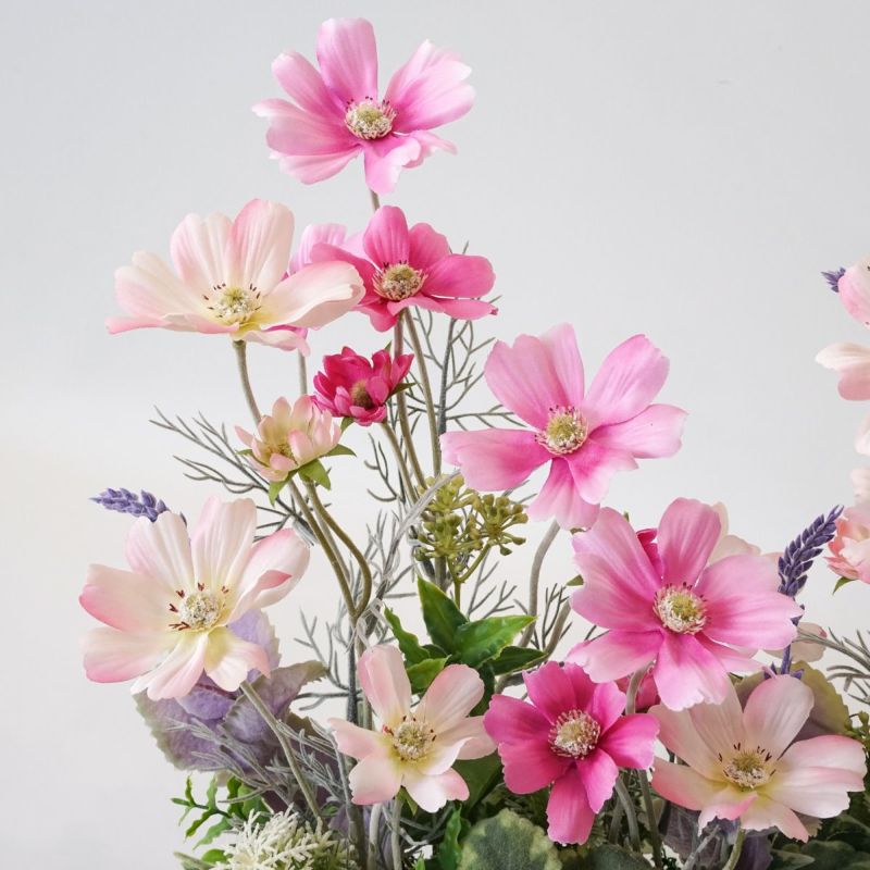 コスモス アレンジメント [WEB466A]