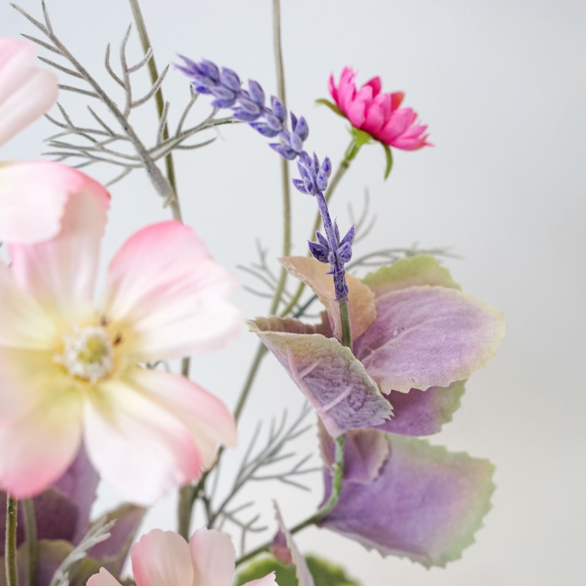 コスモス アレンジメント [WEB466A]