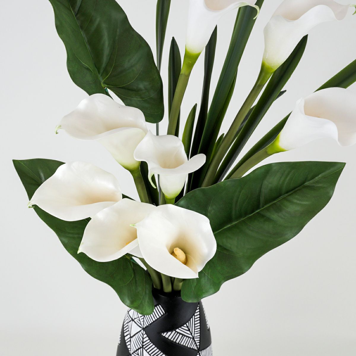 カラーリリー アレンジメント [47B]