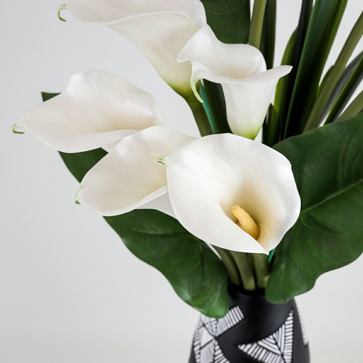 カラーリリー アレンジメント [47B]