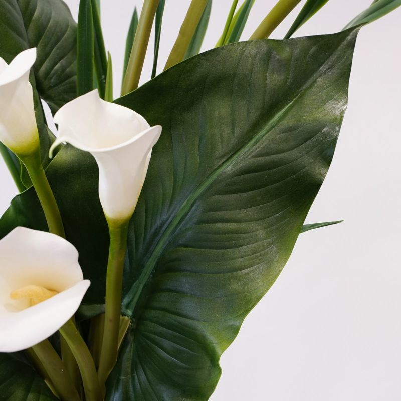 カラーリリー アレンジメント [47]