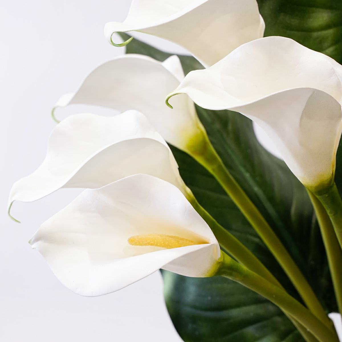 カラーリリー アレンジメント [47]