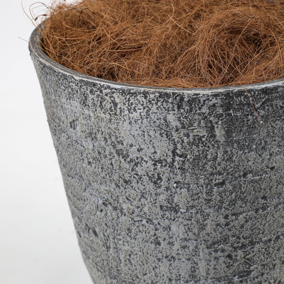 ツピタンサス フェイクグリーン [119]