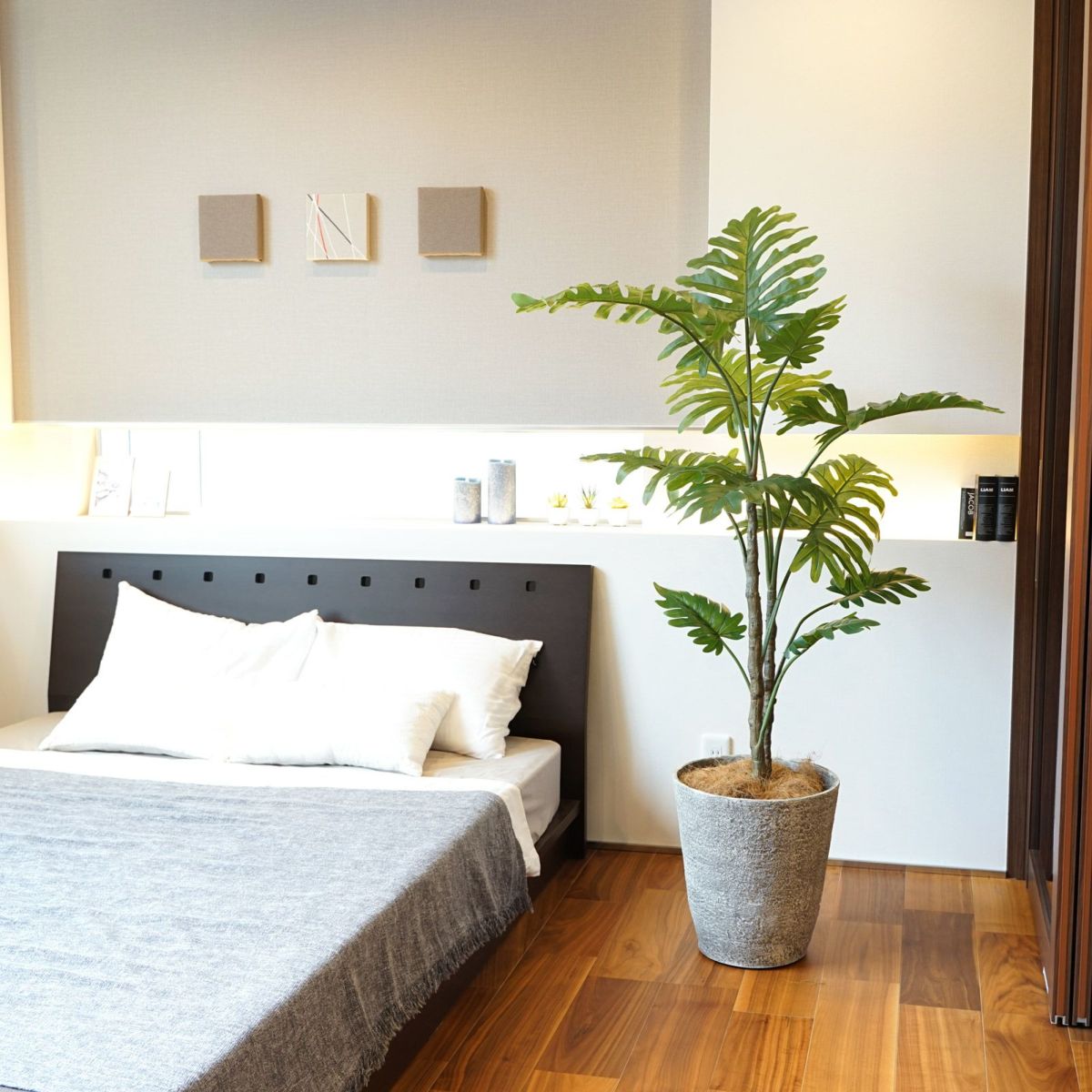  フィロデンドロン フェイクグリーン [83]