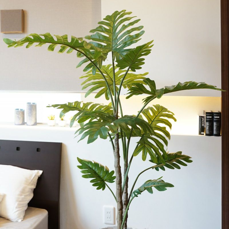  フィロデンドロン フェイクグリーン [83]