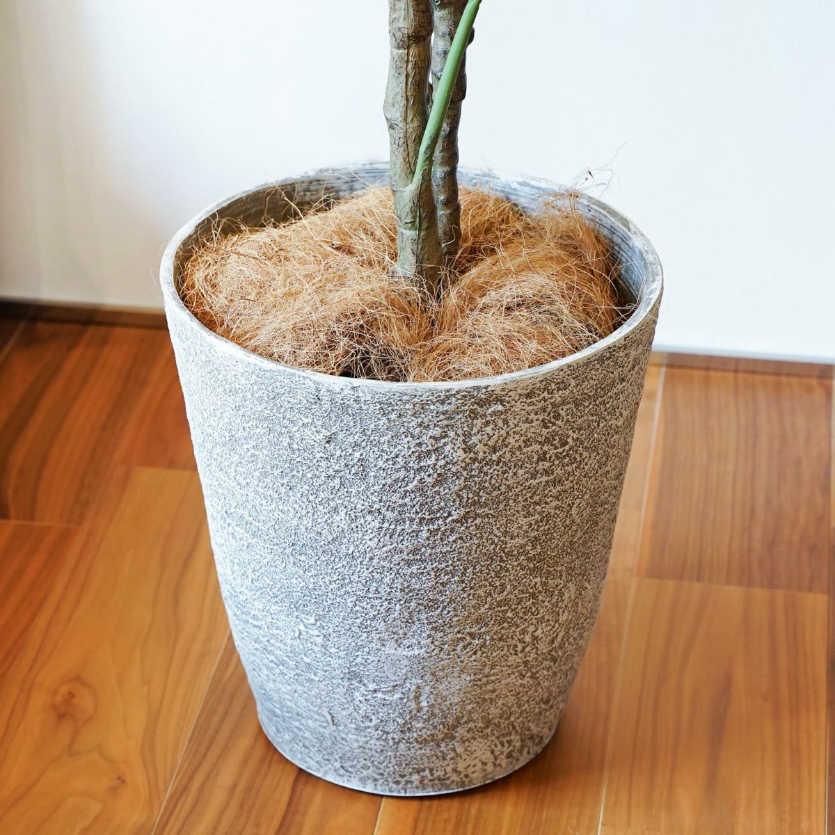  フィロデンドロン フェイクグリーン [83]