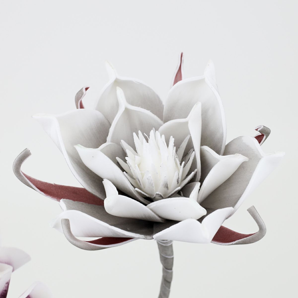 セピアフラワー アレンジメント [55]