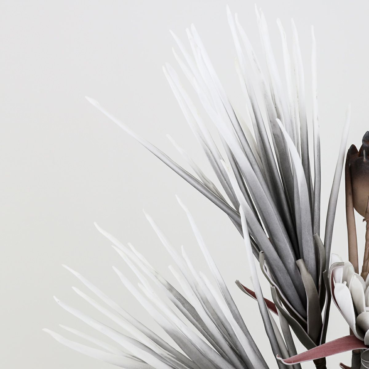 セピアフラワー アレンジメント [61]