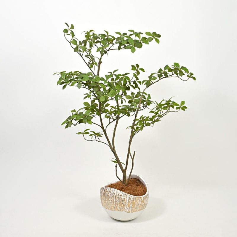 アーモンドツリー フェイクグリーン [122]