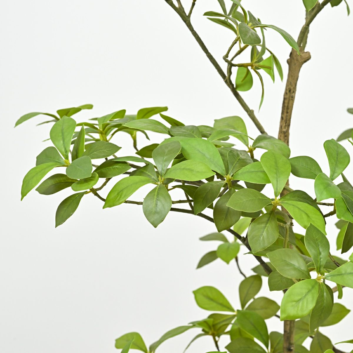 アーモンドツリー フェイクグリーン [122]