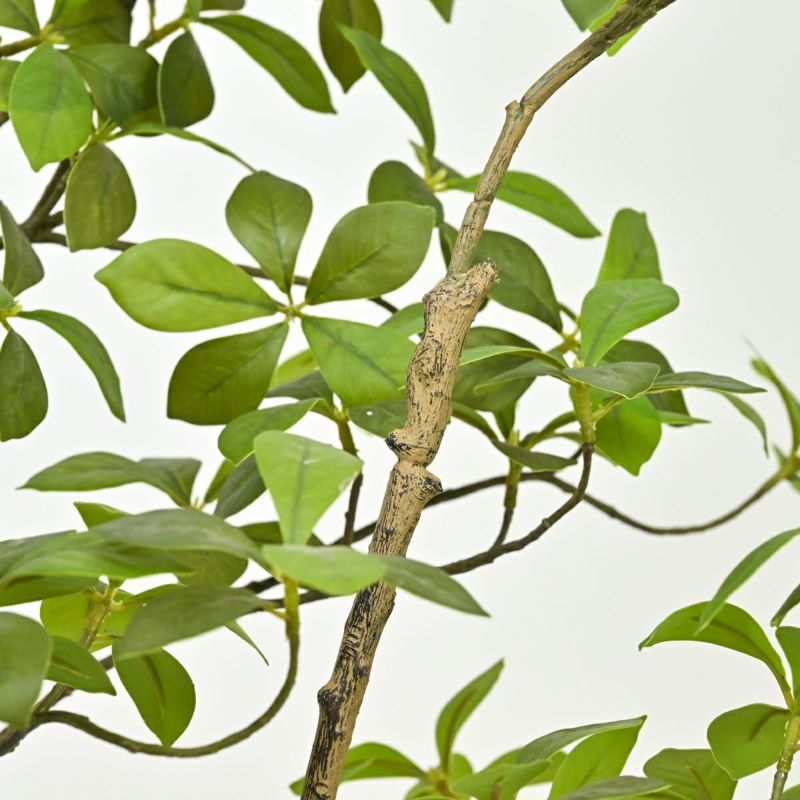 アーモンドツリー フェイクグリーン [122]