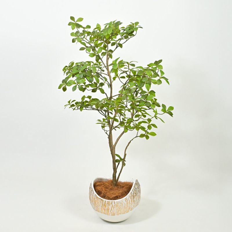 アーモンドツリー フェイクグリーン [122]