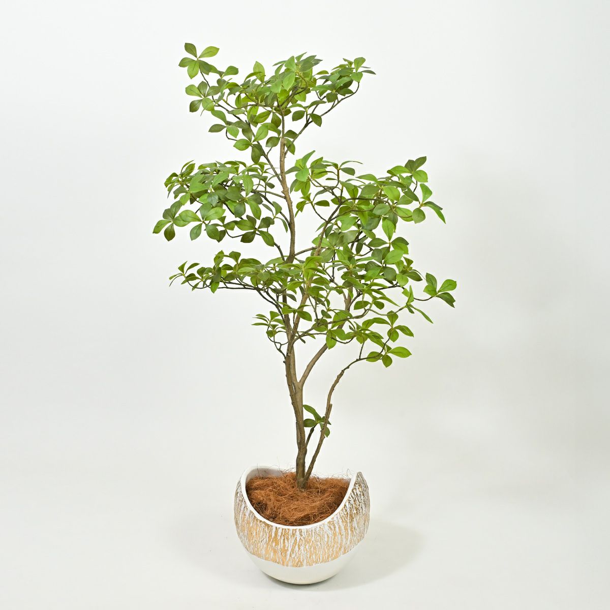 アーモンドツリー フェイクグリーン [122]