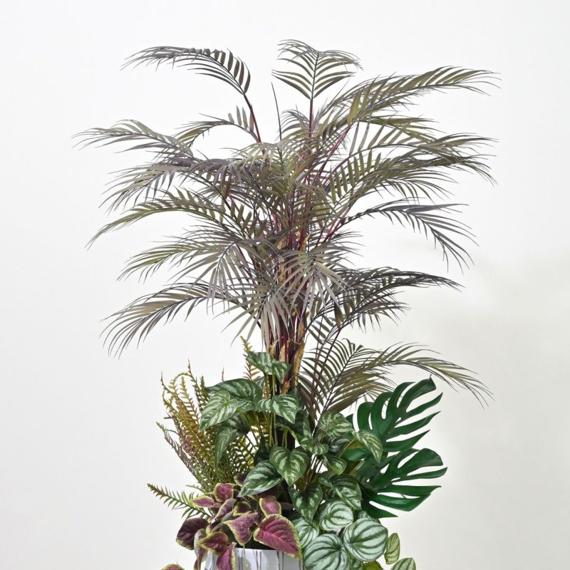 アロアカシア フェイクグリーン 寄せ植えアレンジ [P-23]