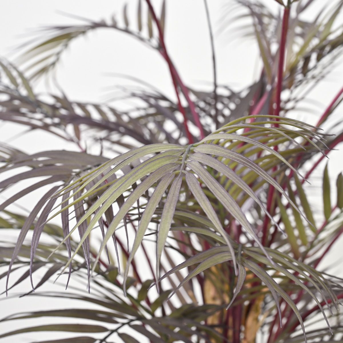 アロアカシア フェイクグリーン 寄せ植えアレンジ [P-23]