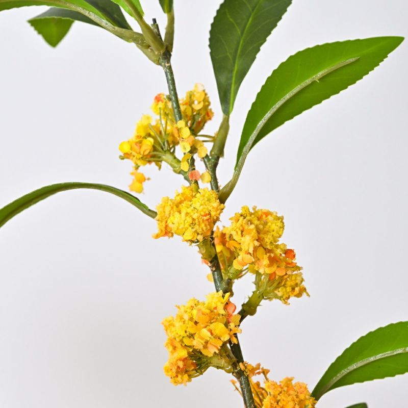 10月のブーケ 秋の代名詞 金木犀 ブーケ [WEB585]