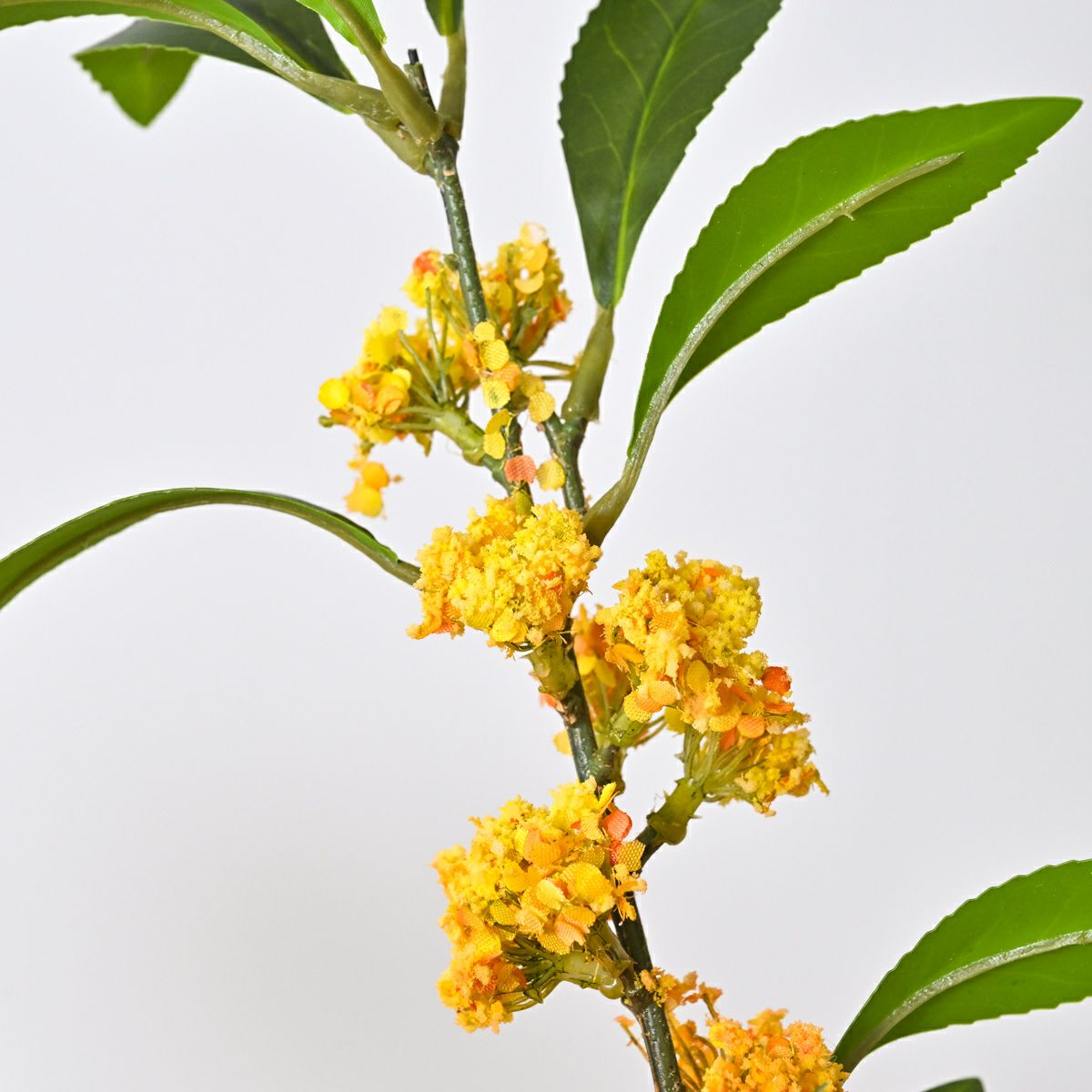 10月のブーケ 秋の代名詞 金木犀 ブーケ [WEB585]