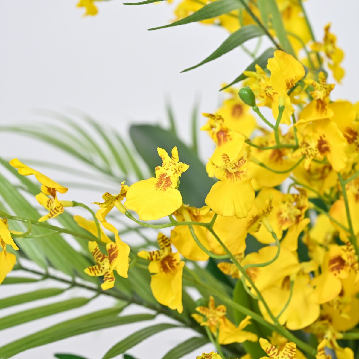 オンシジューム アレンジメント [01]