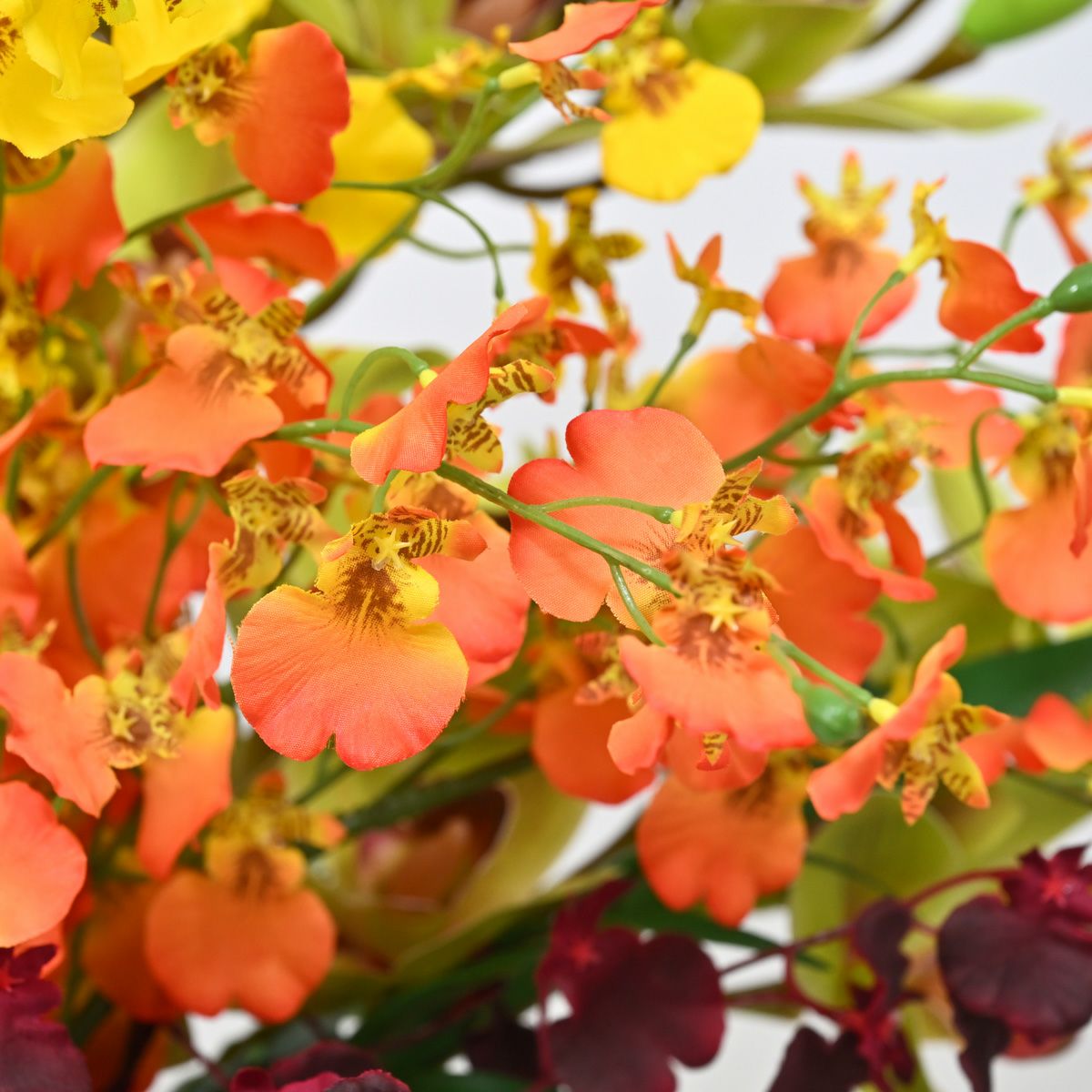 オンシジューム アレンジメント [01]