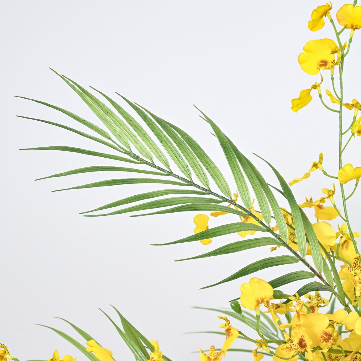 オンシジューム アレンジメント [01]