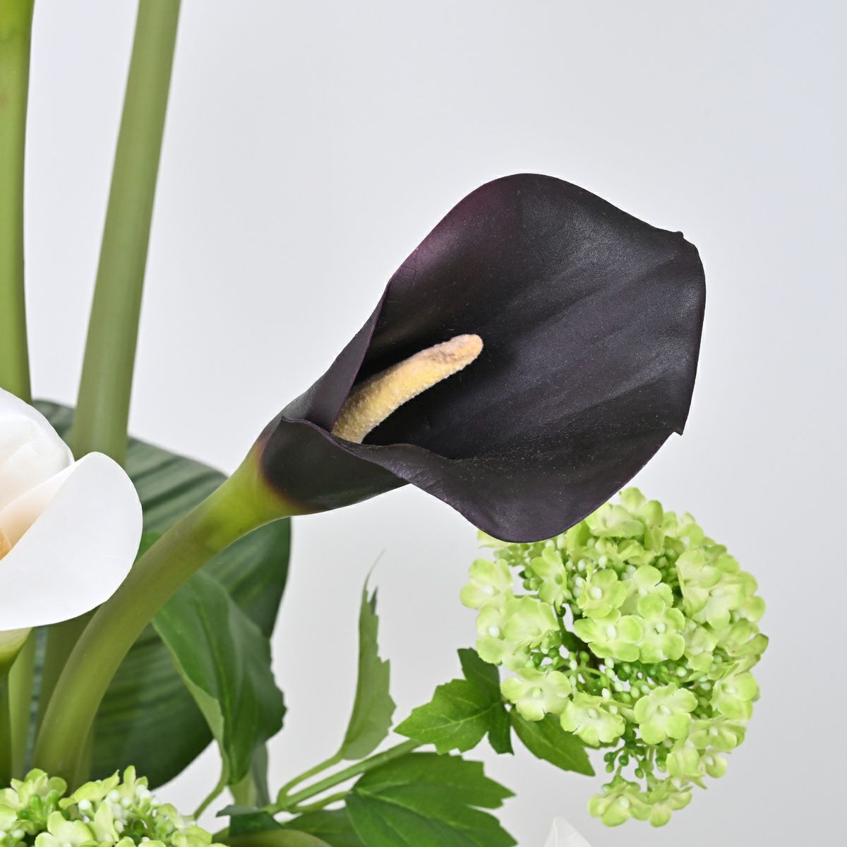 カラーリリー アレンジメント [50]