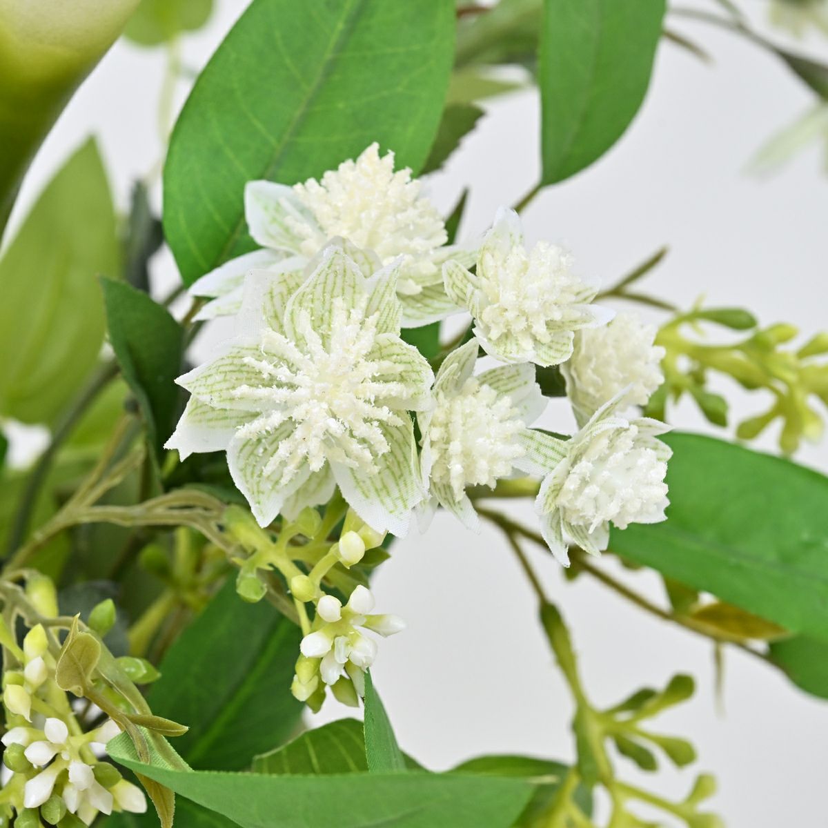 カラーリリー アレンジメント [52]