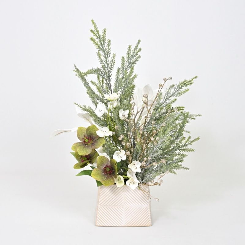 クリスマスローズ アレンジメント [XM-123]