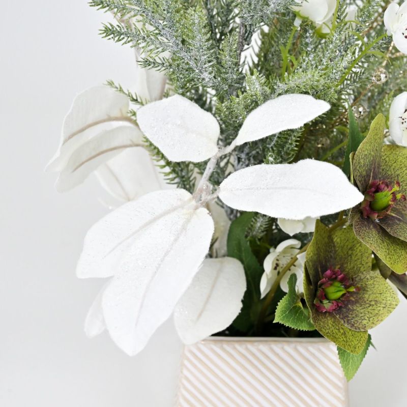 クリスマスローズ アレンジメント [XM-123]