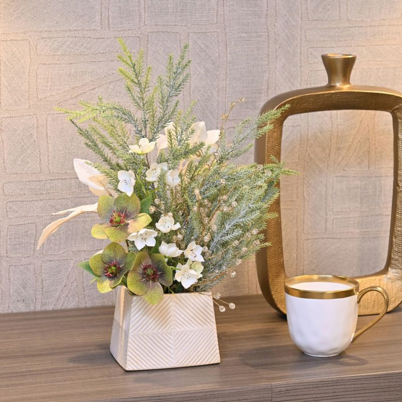 クリスマスローズ アレンジメント [XM-123]