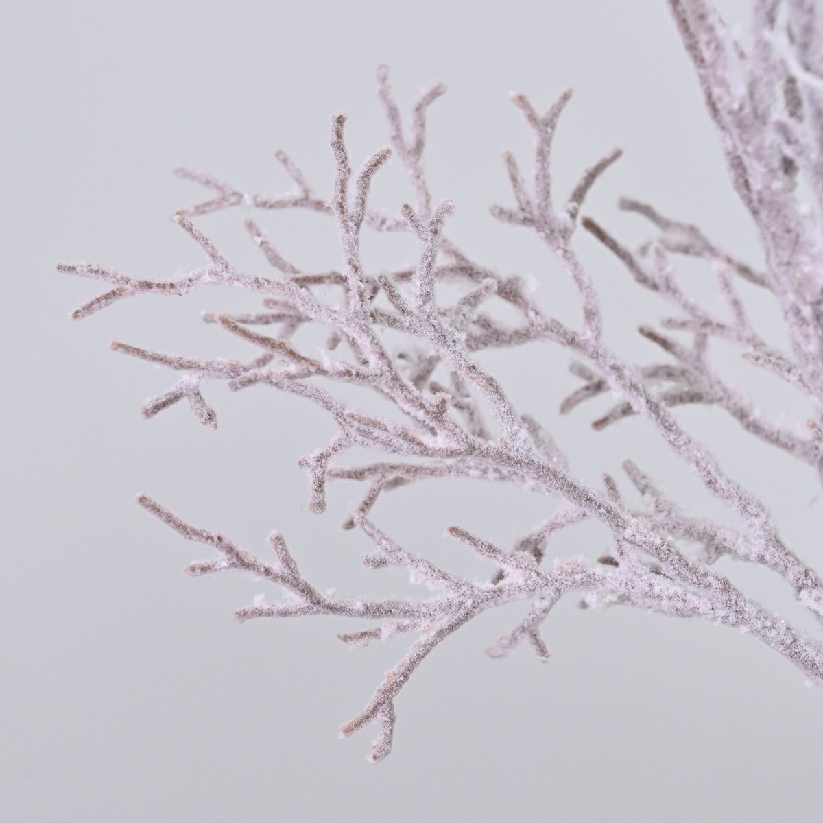 ピオニー アレンジメント [XM-125]