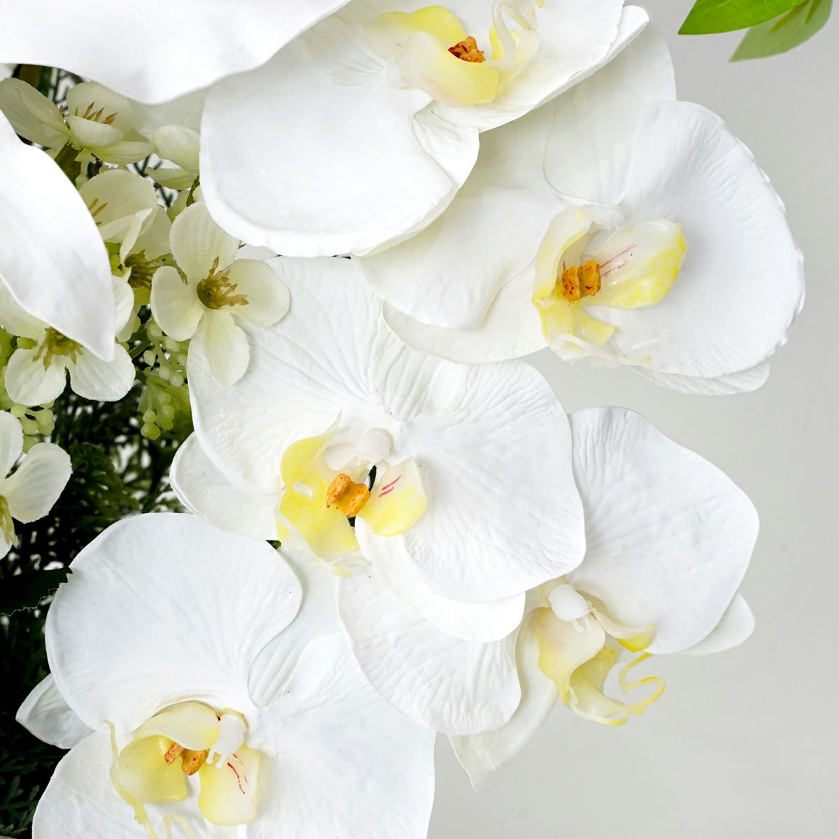 《オンライン限定》お供え カサブランカリリーアレンジ[WEB348B]