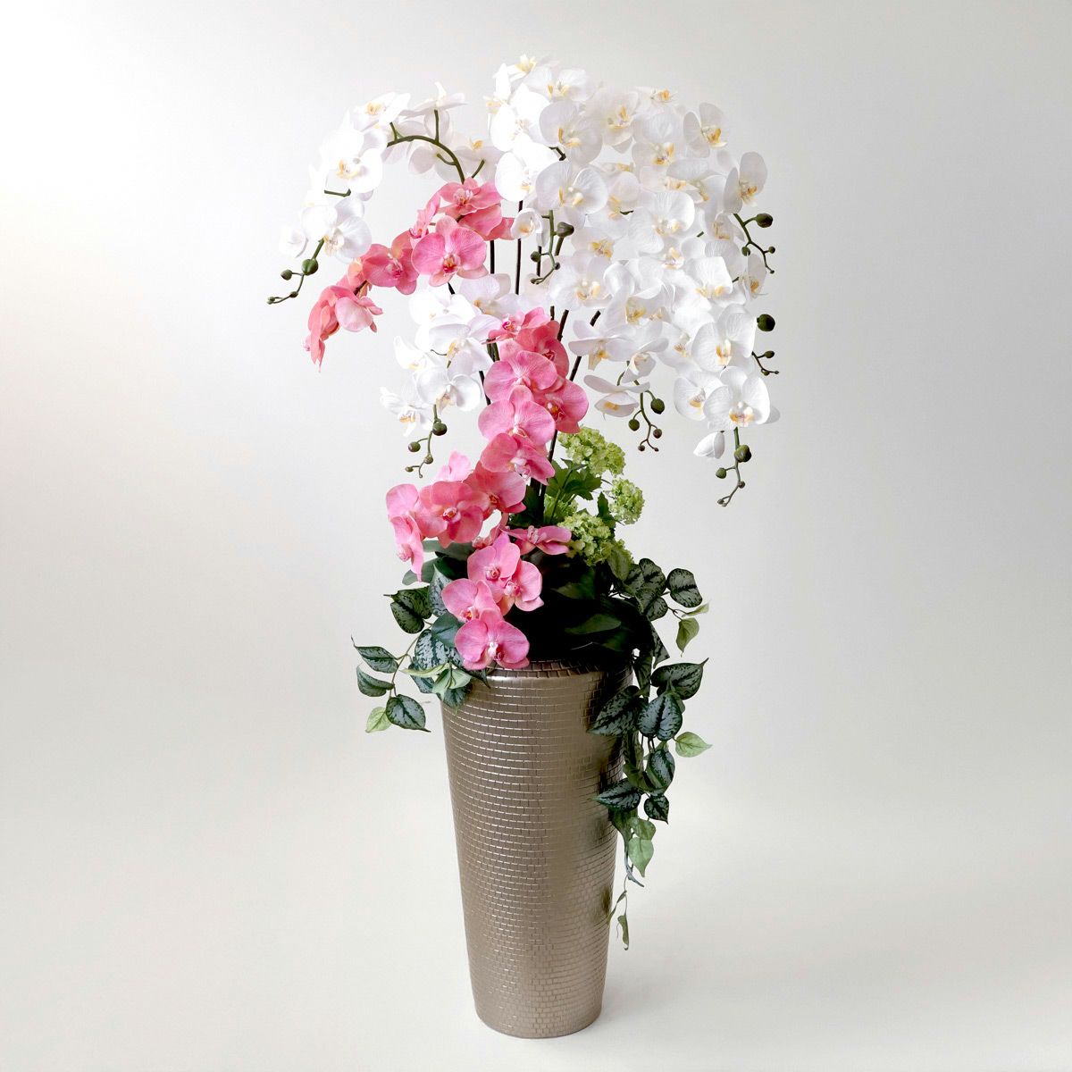 【特別価格】《信楽焼コレクション》 胡蝶蘭 アレンジメント