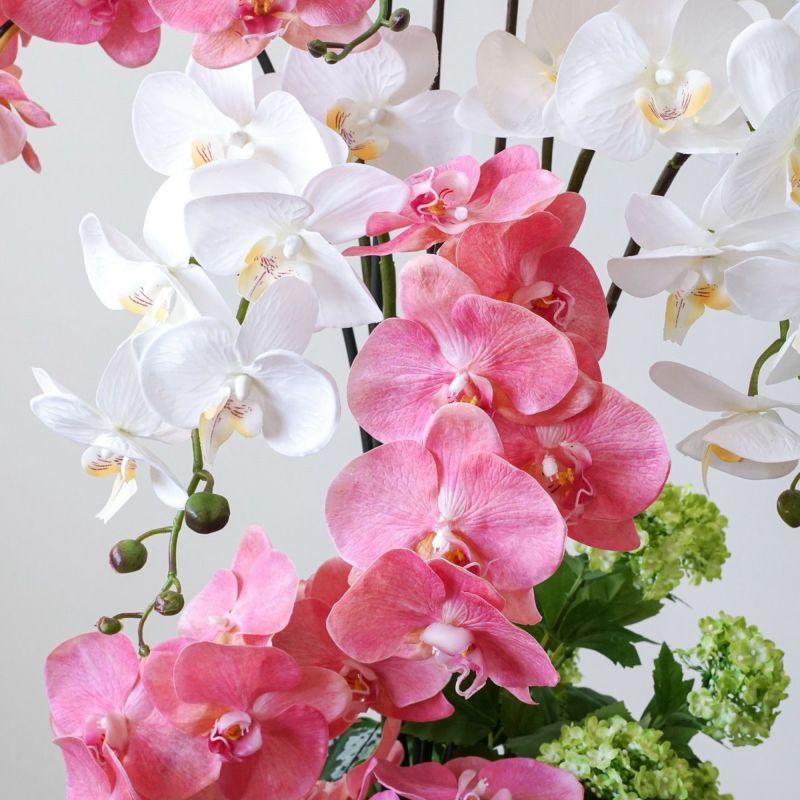 【特別価格】《信楽焼コレクション》 胡蝶蘭 アレンジメント