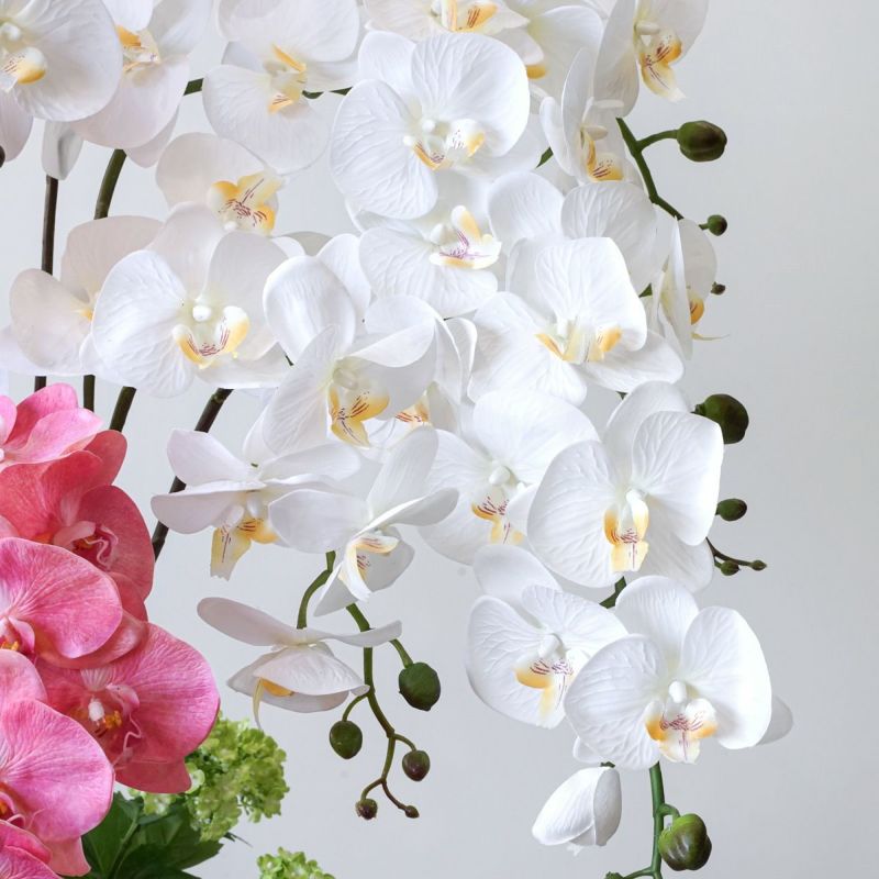 【特別価格】《信楽焼コレクション》 胡蝶蘭 アレンジメント