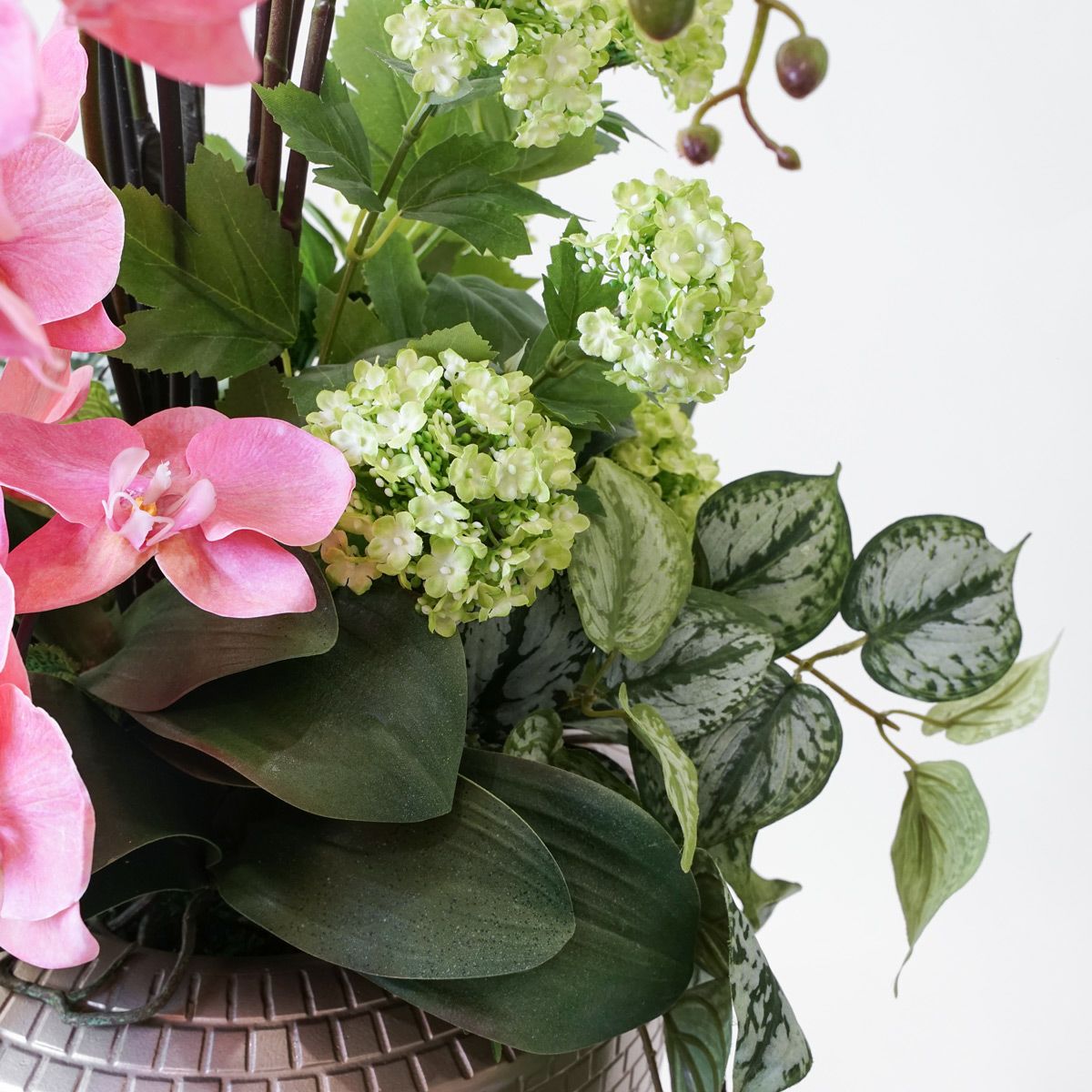 【特別価格】《信楽焼コレクション》 胡蝶蘭 アレンジメント