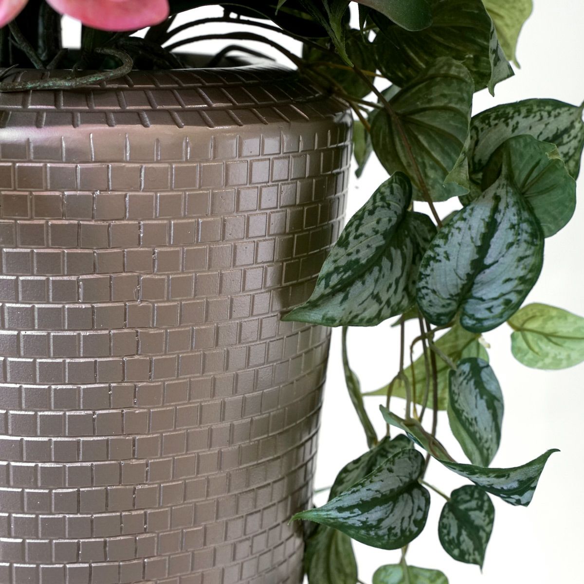 【特別価格】《信楽焼コレクション》 胡蝶蘭 アレンジメント