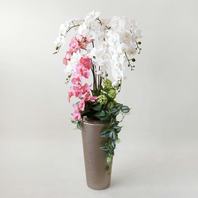 【特別価格】《信楽焼コレクション》 胡蝶蘭 アレンジメント