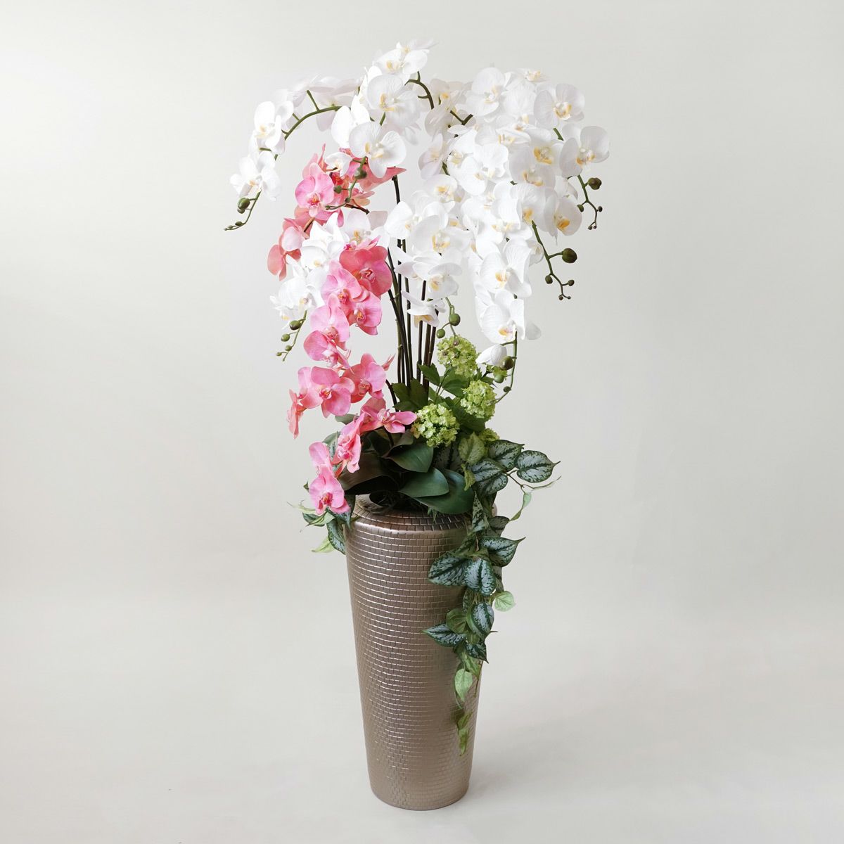 【特別価格】《信楽焼コレクション》 胡蝶蘭 アレンジメント