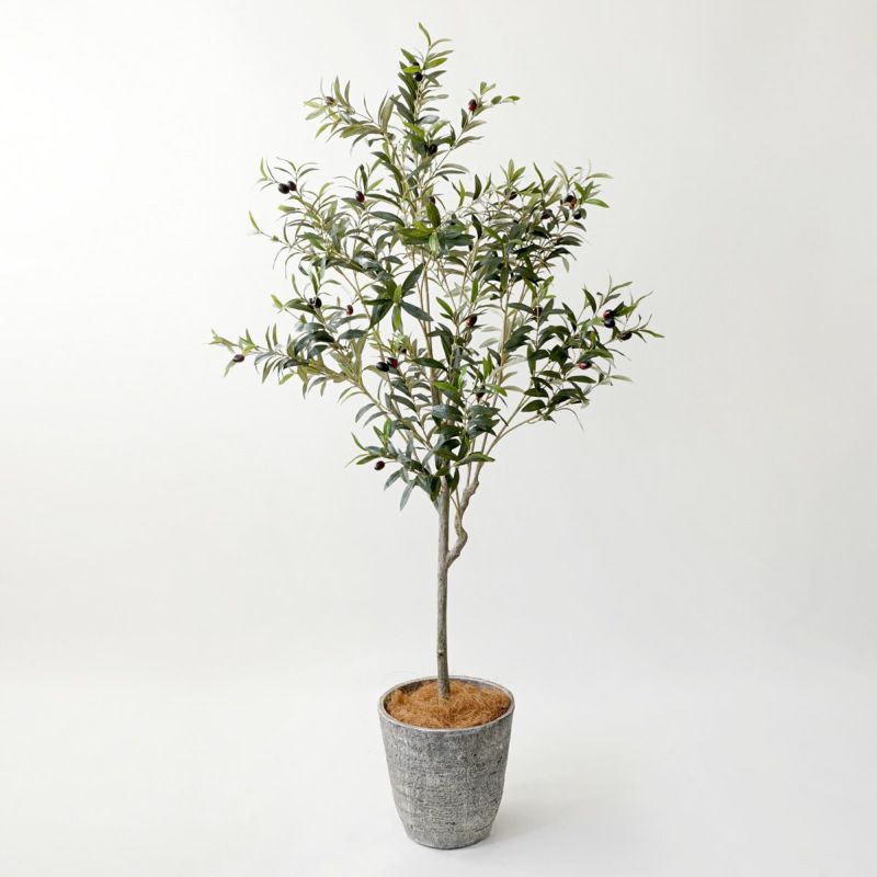 【特別価格】オリーブ フェイクグリーン