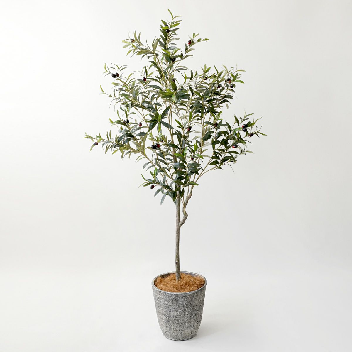 【特別価格】オリーブ フェイクグリーン