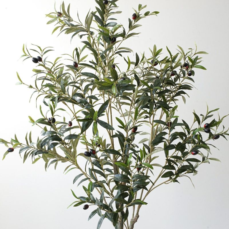 【特別価格】オリーブ フェイクグリーン