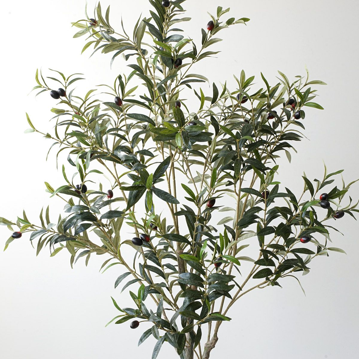 【特別価格】オリーブ フェイクグリーン