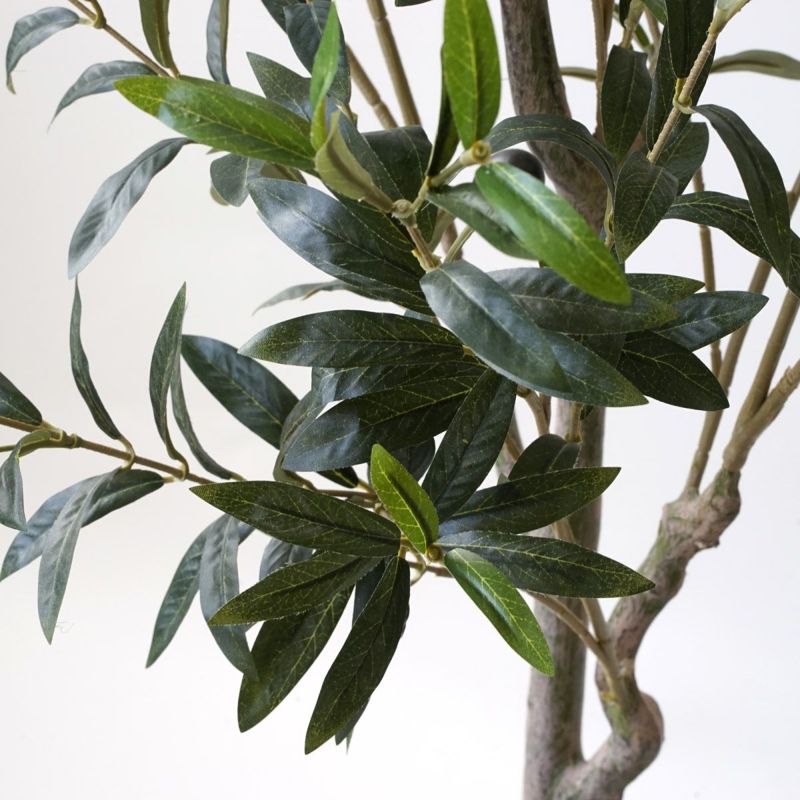 【特別価格】オリーブ フェイクグリーン